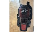 Para schiena moto