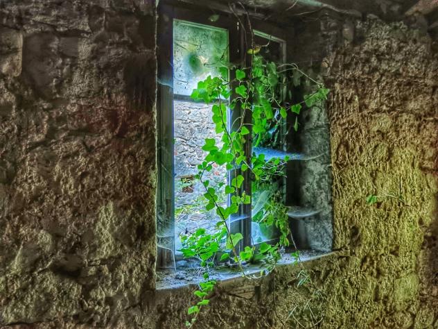 Rustico in vendita a Castiglione d'Orcia - Foto 3
