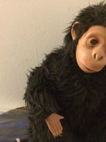PELUCHES prodotto per l'infanzia Fascia di etàper tutte le età - Foto 7