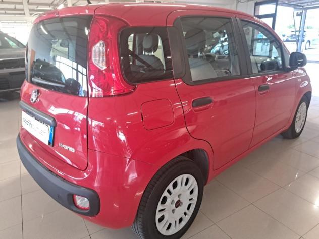 FIAT Panda III 2021 1.0 firefly hybrid s&s 70cv - Foto 4