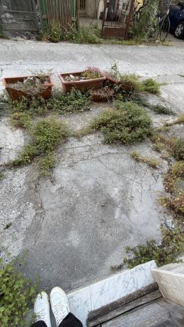 Terratetto in vendita a Montignoso - Foto 16