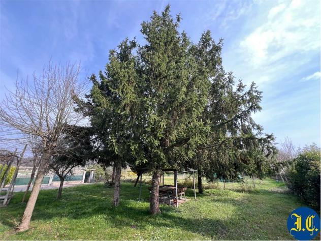 V005397 - CUSTOZA - VILLA SINGOLA CON AMPIO VERDE PRIVATO. - Foto 7