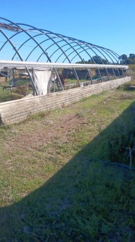 Terreno agricolo in Bellaria-Igea Marina - Foto 3