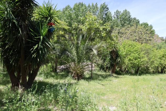 Terreno in vendita a Monterosso Almo - Foto 4