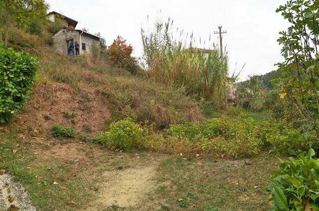 Vigneto in vendita a Vezzano Ligure - Foto 7