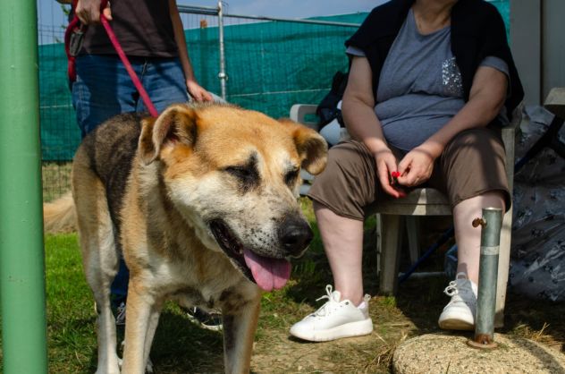 THEO, 7 ANNI, PURTROPPO HA PERSO TUTTO FAMIGLIA E UNA CASA - Foto 2