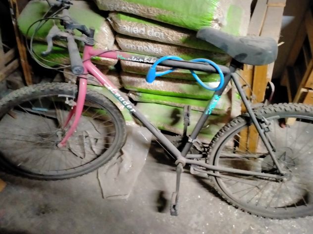 Vendo Mountabike usata in buono stato - Foto 2