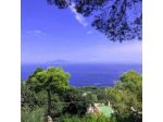 Alle Ginestre Capri Bed & Breakfast