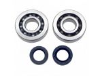 Kit revisione albero motore per Piaggio Sfera Zip Free Vespa ET2 Gilera Typ &hellip;