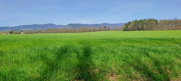 TERRENO AGRICOLO di 130000 mq (SCARPERIA E SAN PIERO - SCARPERIA) rif. AAI788 - Foto 4