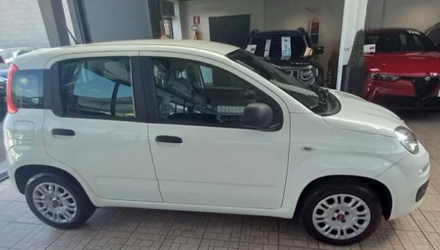 FIAT Panda 1.2 Easy rif. 23973146 - Foto 2