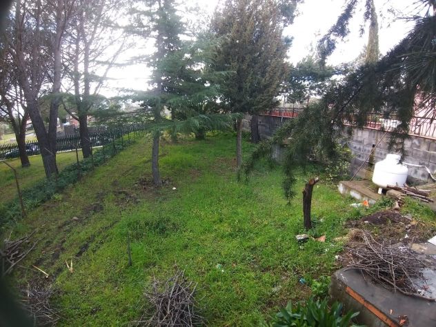 CODICE 6930 VILLA SINGOLA 260 MQ CON 4.870 MQ DI TERRENO A BELPASSO - Foto 8