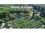 Appartamento di nuova costruzione al piano terra con giardino ad Uopini, Siena.