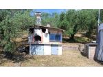 Annesso agricolo in vendita a Rosignano Marittimo 9000 mq  Rif: 1418510
