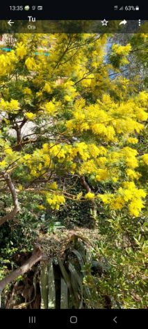 Varazze appartamento con giardino centrale Vista mare