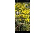Varazze appartamento con giardino centrale Vista mare