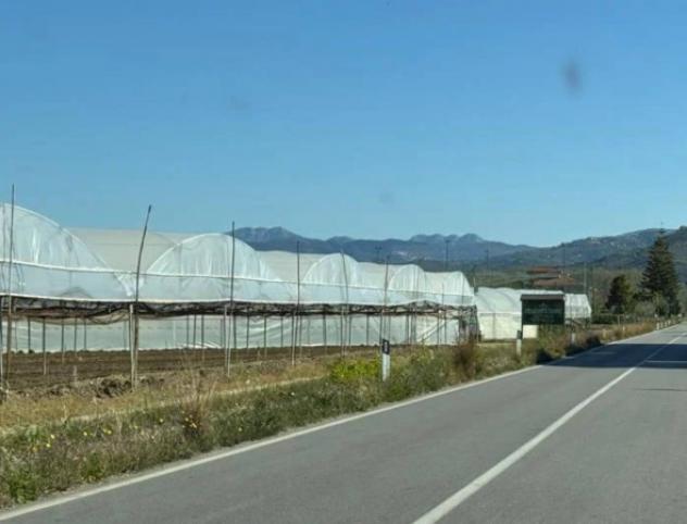 Immobile in asta di 22689 m² in vendita a Castelnuovo Cilento - Foto 2