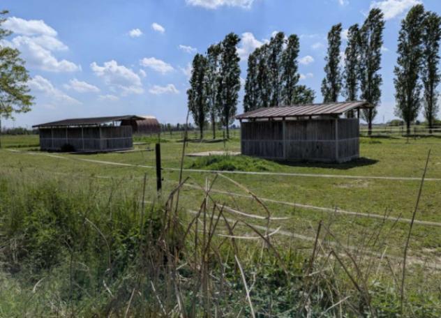 Immobile in asta di 232 m² in vendita a Momo - Foto 8