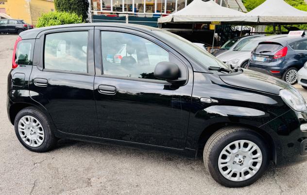 Fiat Panda 1.0 FireFly S&S Hybrid Pandina - Foto 4