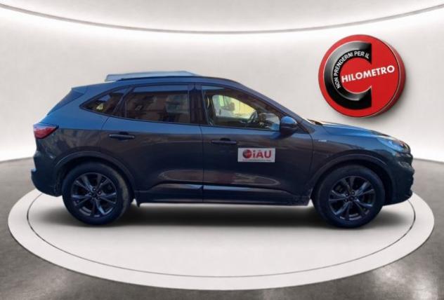 FORD Kuga 1.5 EcoBlue 120 CV 2WD ST-Line rif. 24123180 - Foto 8