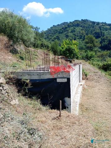 Vallebona VENDESI RUSTICO CON GIARDINO PRIVATO - Foto 9