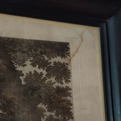 Acquaforte del 1800 con cornice. - Foto 6