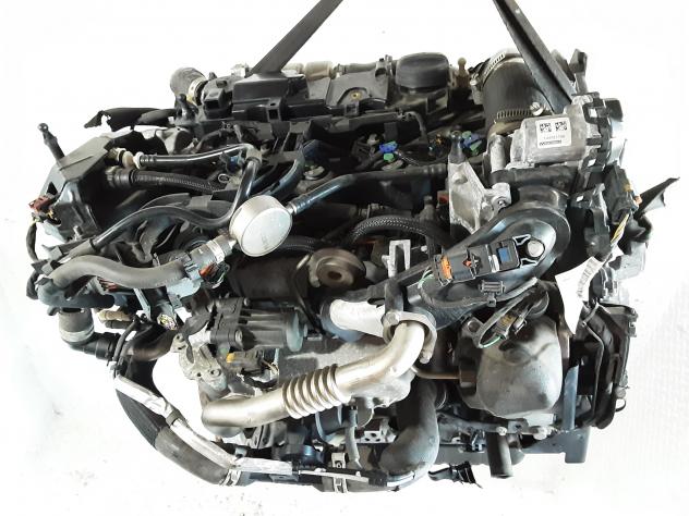 MOTORE COMPLETO FORD Fiesta 7° Serie XUJC, XUJD, XUJE, XUJF, XUJG, XUJK, XUJL, XUJM, XUJN Diesel 1500 (17) - Foto 5
