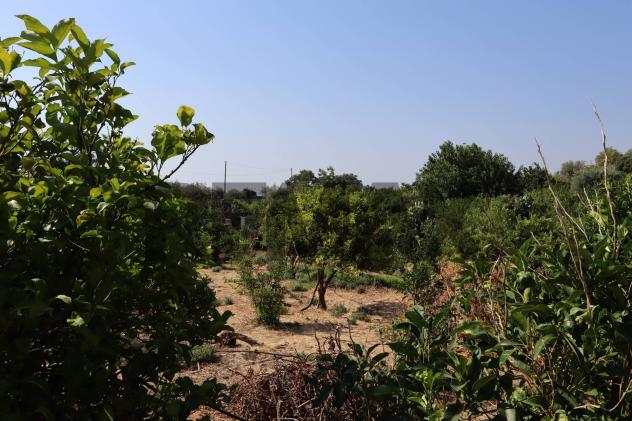 Terreno in vendita a Mascali, Santa Venera - Foto 2