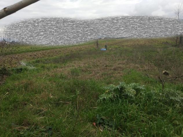 Terreno agricolo in vendita a Vicopisano 2000 mq  Rif: 1352016
