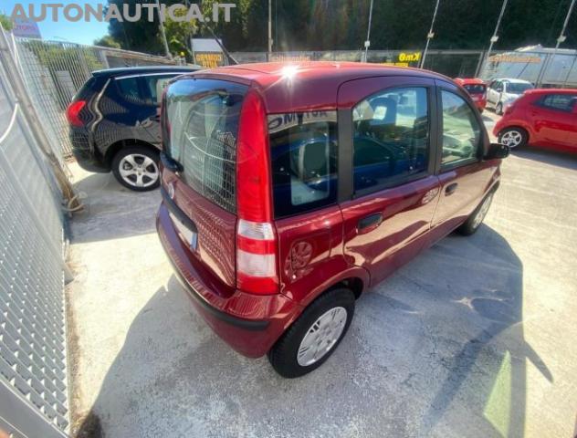 FIAT Panda 1.1 ACTIVE 54cv rif. 24135116 - Foto 4