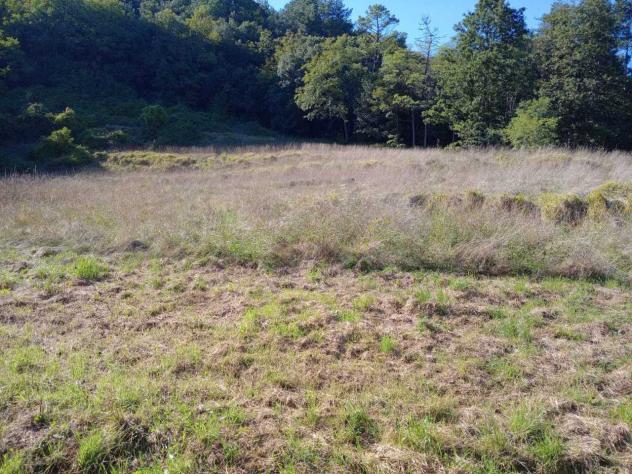 Terratetto in vendita a Varese Ligure - Foto 10