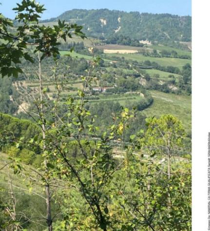 Immobile in asta di 1344 m² in vendita a Modigliana - Foto 10