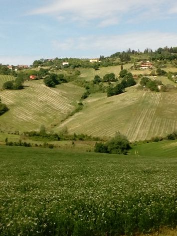 Poggio con Casale e 16 Ettari di Terreno Agricolo - Foto 2