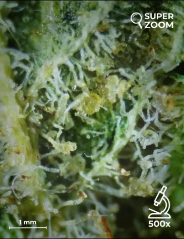 Ak-47 - Foto 4