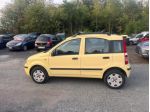 FIAT Panda 1.2  Natural Power rif. 24205145