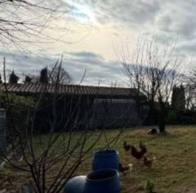 Immobile in asta di 272 m² in vendita a Chiopris-Viscone - Foto 14