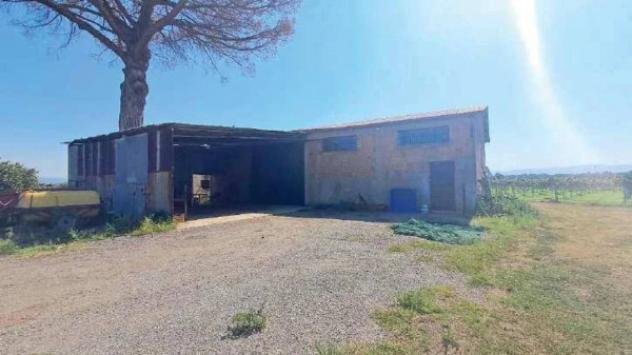 Immobile in asta di 277110 m² in vendita a Gioia Tauro - Foto 8