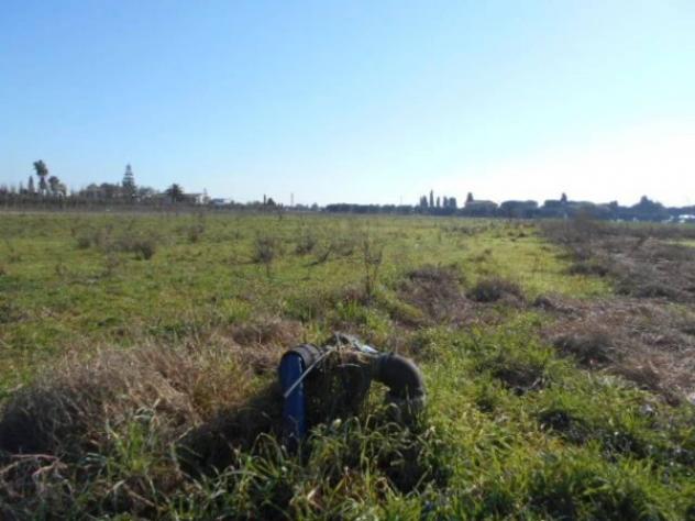 Immobile in asta di 82648 m² in vendita a Latina - Foto 9