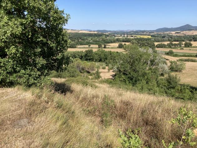 Casale in vendita a Montescudaio - Foto 12