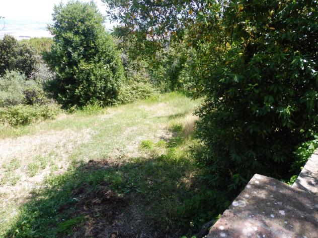 Casa semindipendente in vendita a Lajatico 360 mq Rif: 823529 - Foto 2