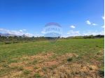 Terreno in vendita a Partinico