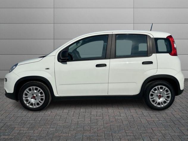 FIAT Panda 1.0 firefly hybrid City Life s&amp - Foto 2
