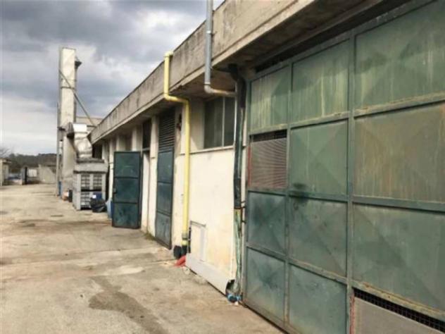Immobile in asta di 5030 m² in vendita a Fucecchio - Foto 6