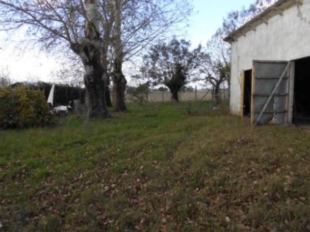 Immobile in asta di 221 m² con più di 5 locali in vendita a Copparo - Foto 3