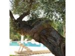 Agriturismo Masseria San Leonardo
