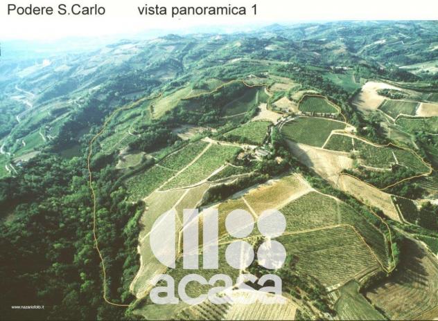 AZIENDA AGRICOLA SAN CARLO - Foto 10