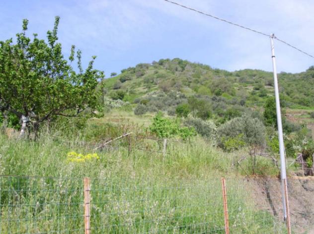 Immobile in asta di 1770 m² in vendita a Itala - Foto 4