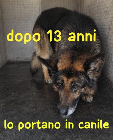 TREVOR PASTORE TEDESCO 13 ANNI