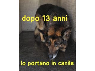 TREVOR PASTORE TEDESCO 13 ANNI