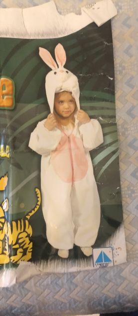 vestito carnevale peluche